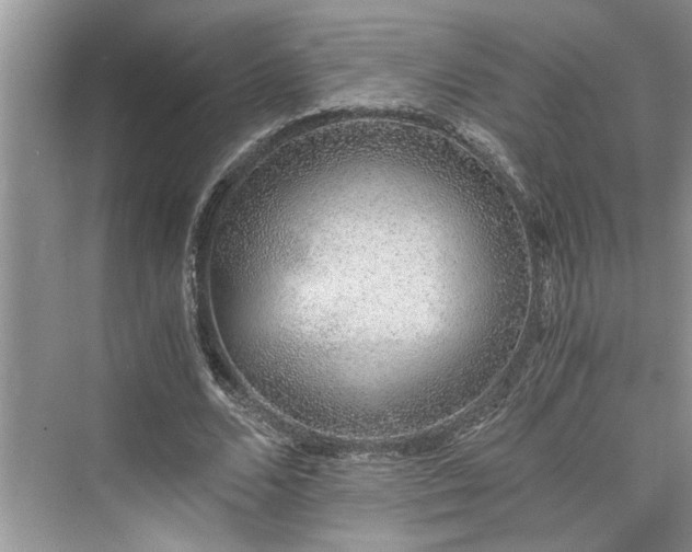 X0000076080680200609291252