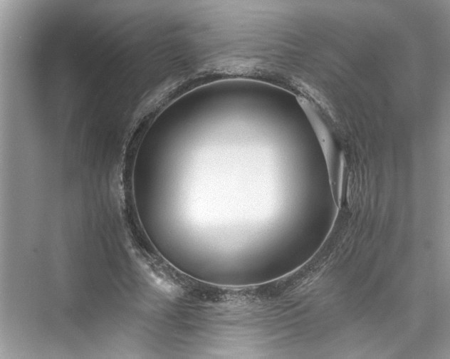 X0000076080682200609291251