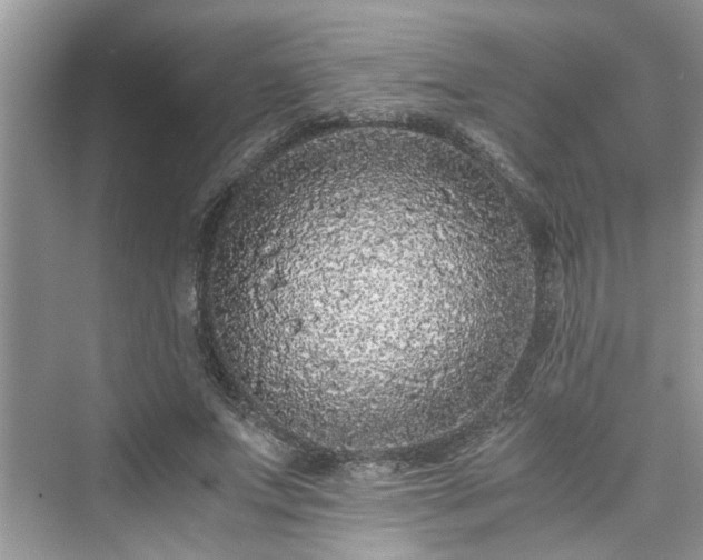 X0000076080687200609291251