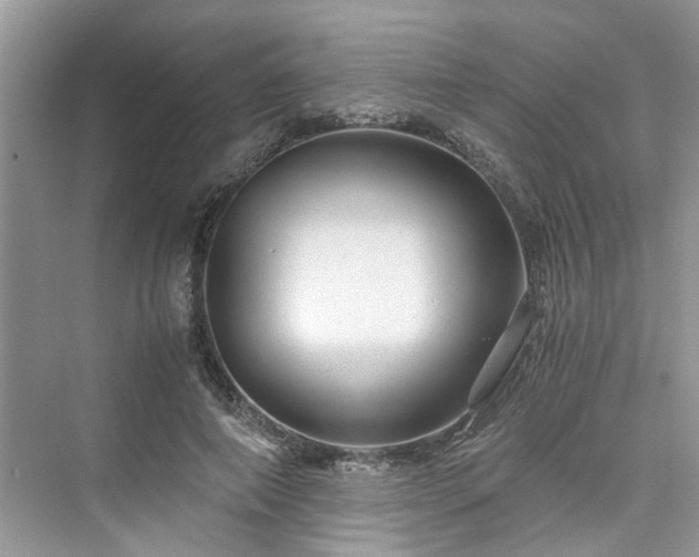 X0000076080690200609291251