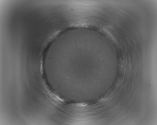X0000076080692200609291251