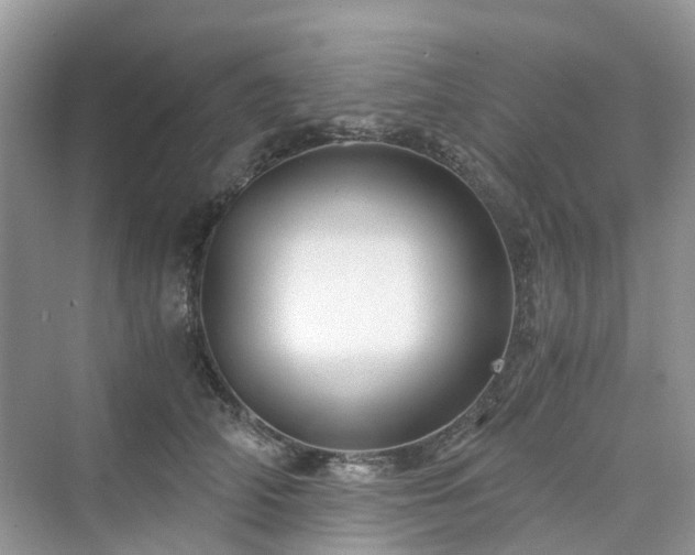 X0000076080706200609291251