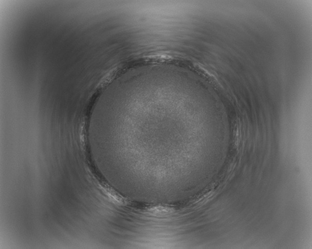 X0000076080708200609291251