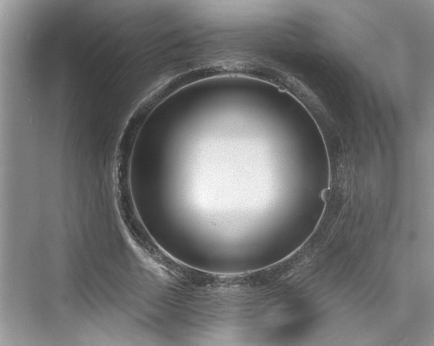 X0000076080730200609291250