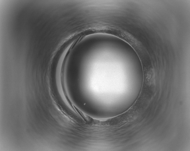 X0000076080732200609291250