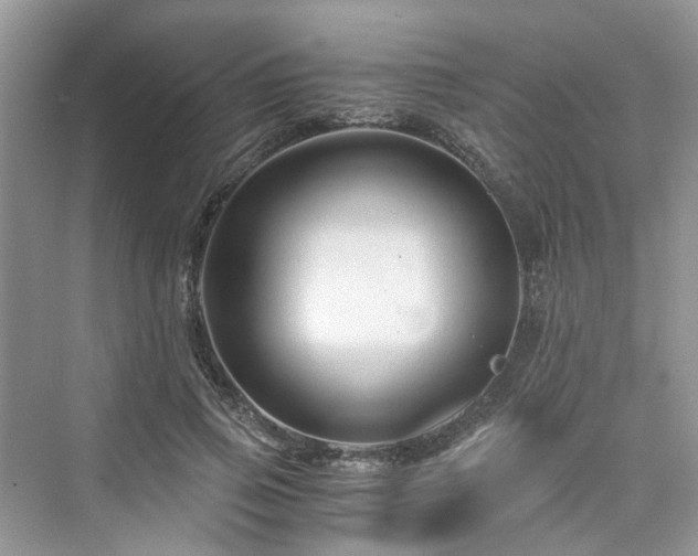 X0000076080741200609291250
