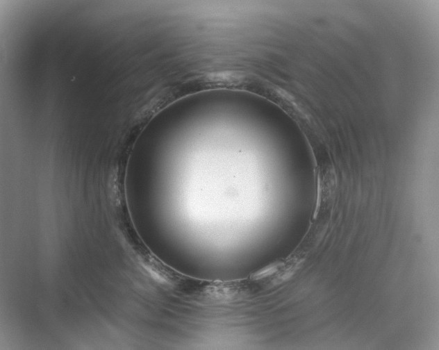 X0000076080764200609291251