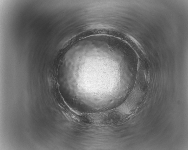 X0000076080775200609291250