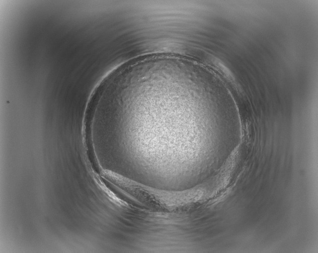 X0000076080780200609291250