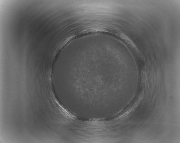 X0000076080785200609291250