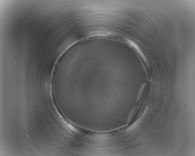 X0000076080802200609291249