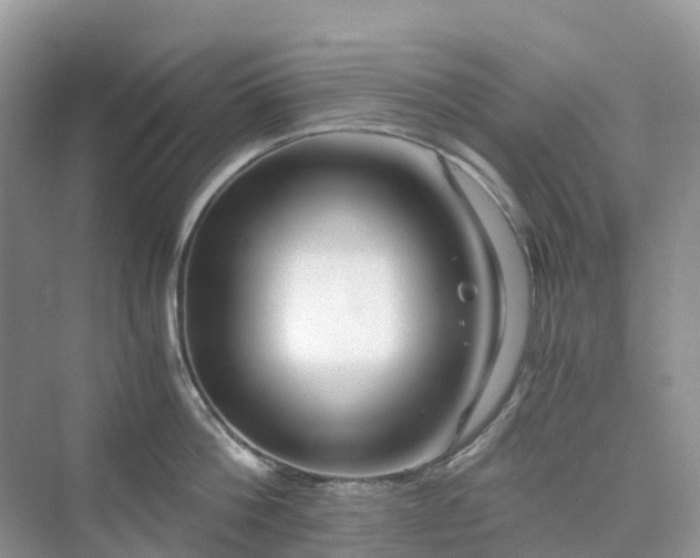 X0000076080812200609291249