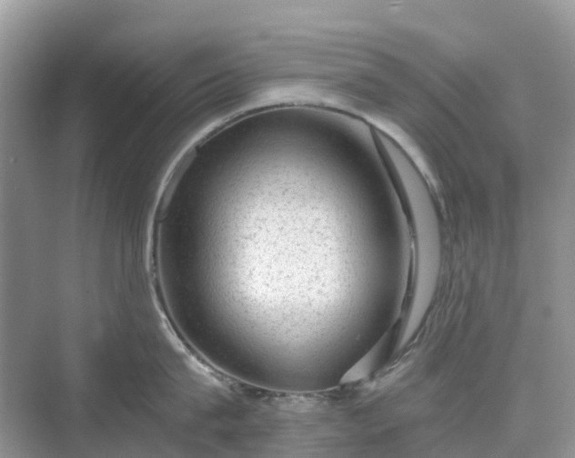 X0000076080815200609291249