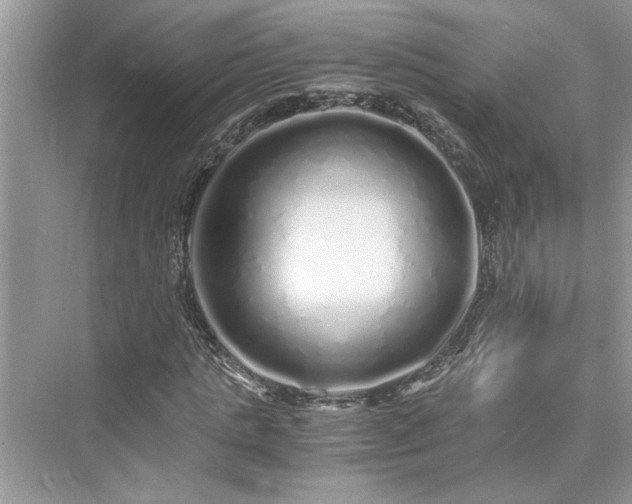 X0000076080821200609291248