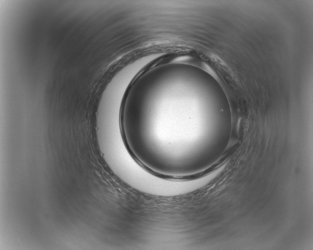 X0000076080822200609291249