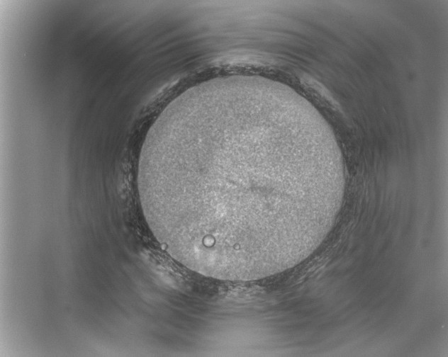 X0000076080824200609291249