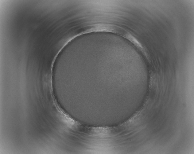 X0000076080836200609291249