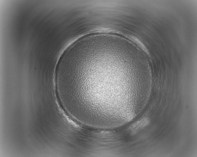 X0000076080839200609291249