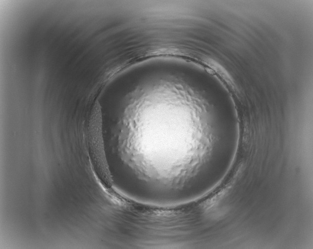 X0000076080849200609291249