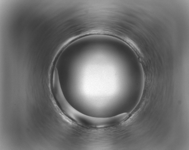 X0000076080854200609291249