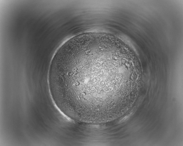 X0000076080855200609291249