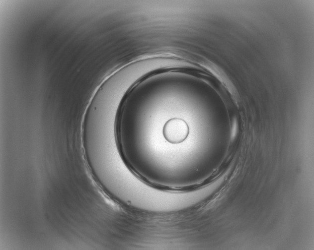 X0000076080858200609291249