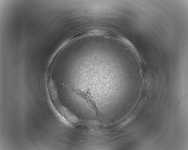 X0000076080859200609291249