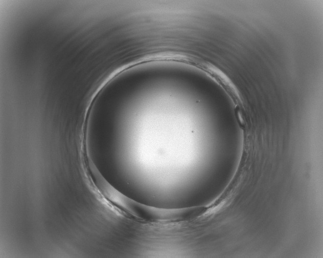 X0000076080860200609291249