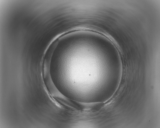 X0000076080862200609291249