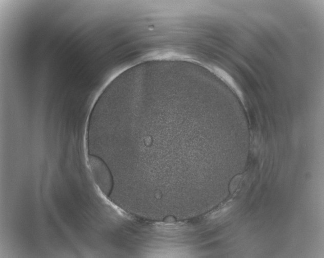 X0000076080863200609291249