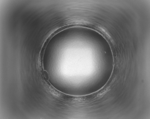 X0000076080883200609291248