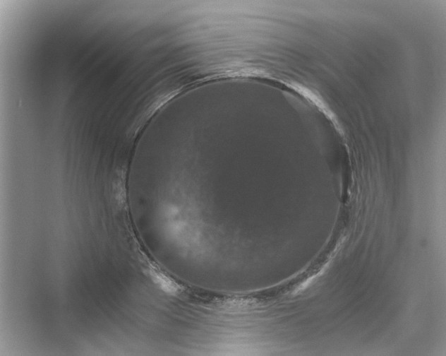 X0000076080889200609291248