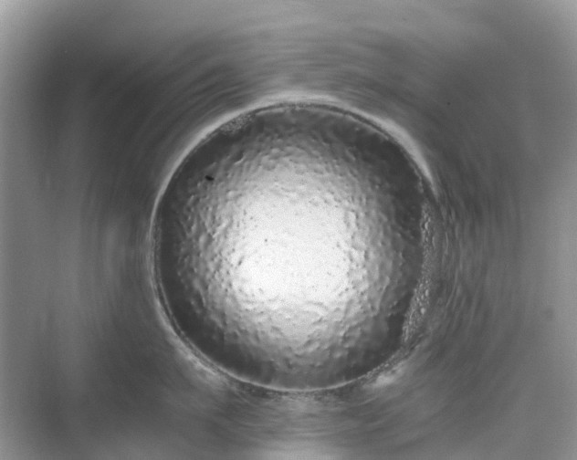 X0000076080911200609291248