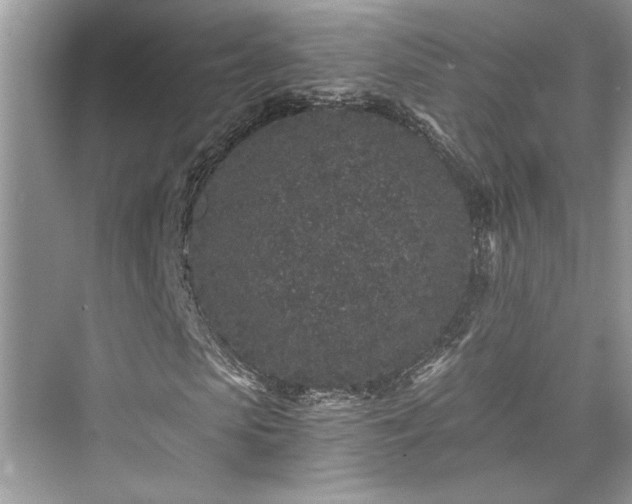 X0000076080913200609291247