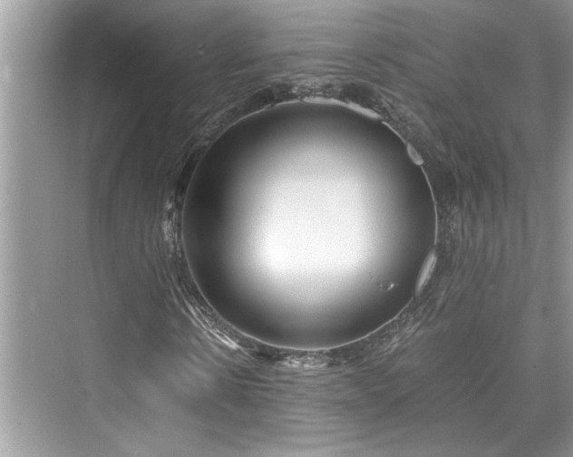 X0000076080914200609291247