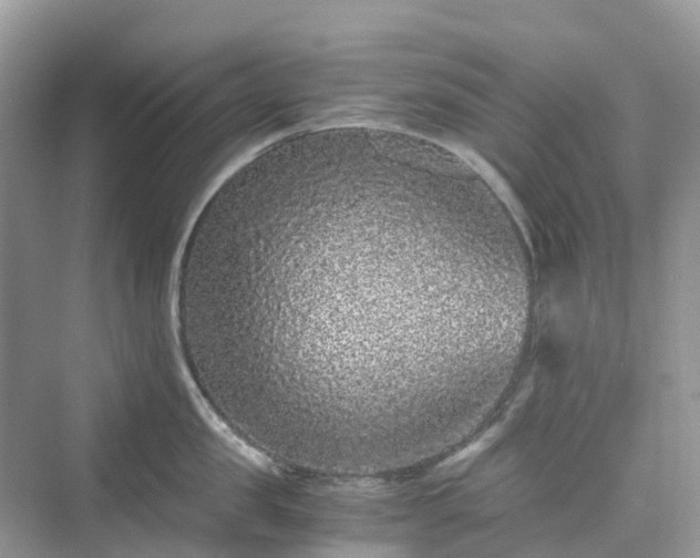 X0000076080957200609291248