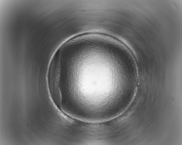 X0000076080959200609291248