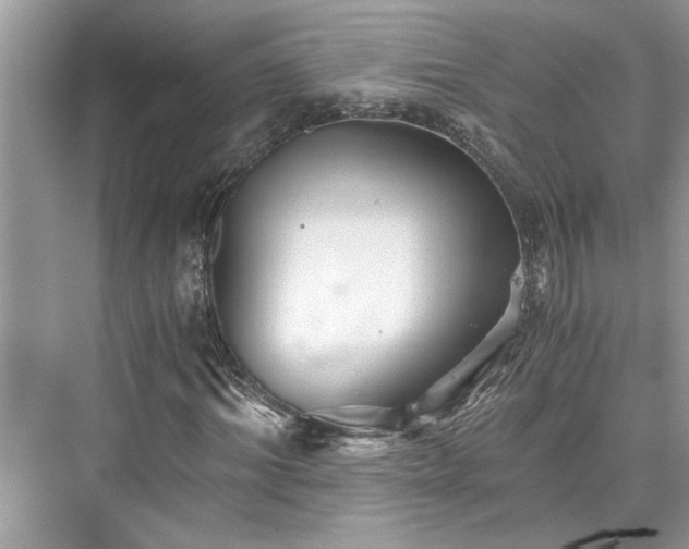X0000076080964200609291247