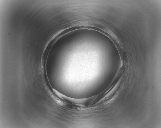 X0000076080981200609291246
