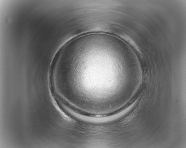 X0000076080991200609291246