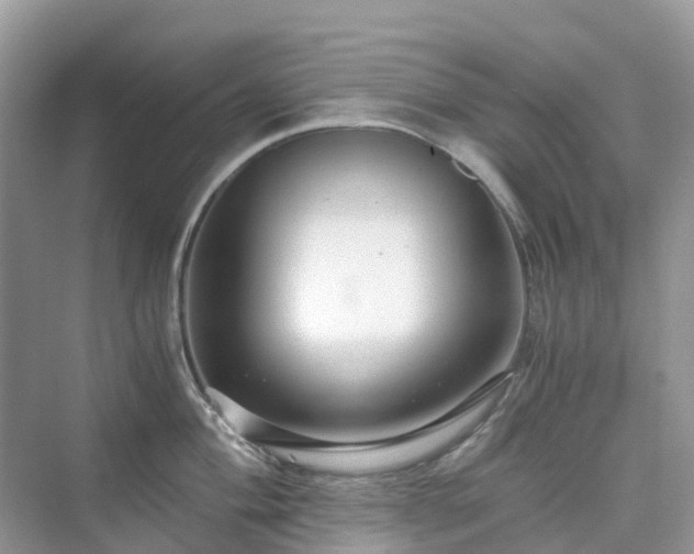 X0000076081004200609291246