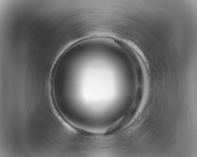 X0000076081005200609291246
