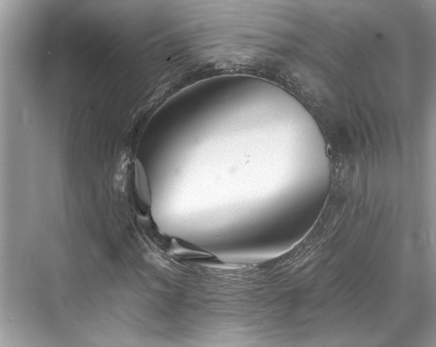 X0000076081012200609291245