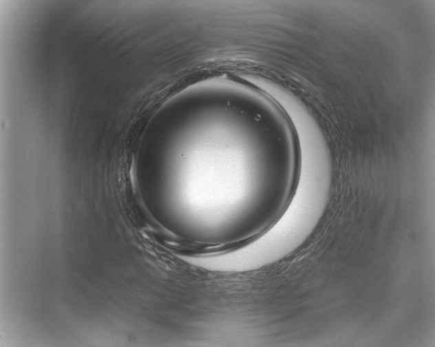 X0000076081014200609291245