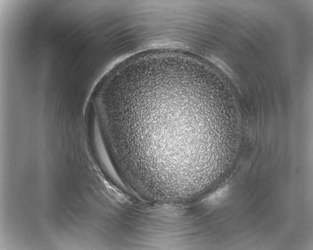 X0000076081022200609291245