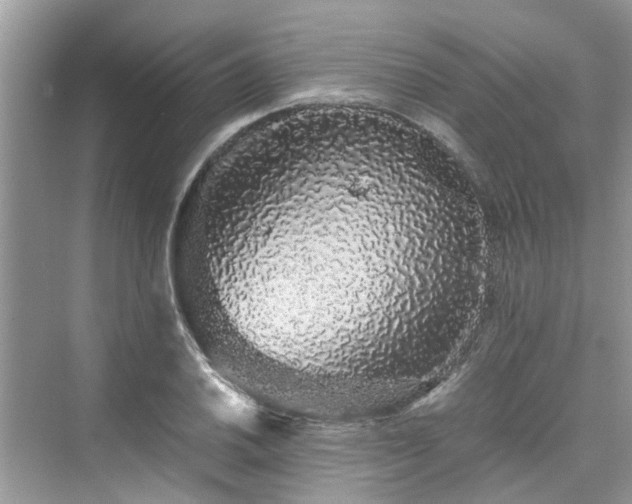 X0000076081030200609291246