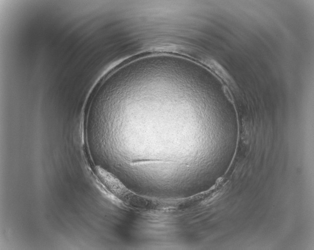 X0000076081036200609291246