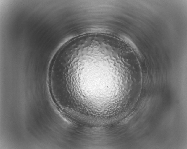 X0000076081043200609291246
