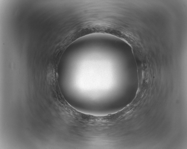 X0000076081061200609291245