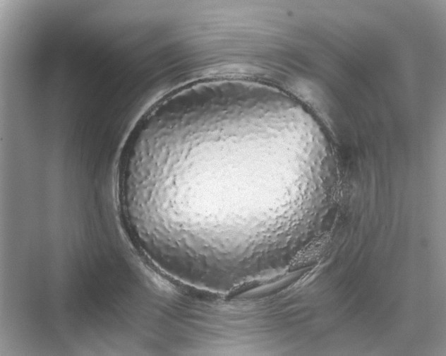 X0000076081083200609291245